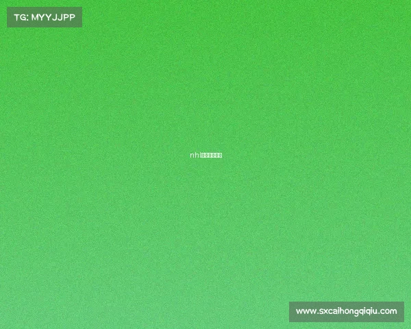 nhl比赛回放视频